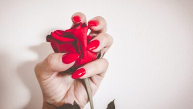 Минута отдыха Как я встретила своего будущего мужа у фонтана Интересное  Минута отдыха Как я встретила своего будущего мужа у фонтана Интересное