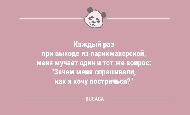 Анекдоты в понедельник: «Блин, когда же лето?!» (11 фото)