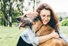 Минута отдыха Собаки и объятия, которые дарят уют и надёжность Животные 