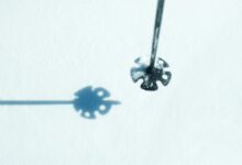 Минута отдыха Нужно заплатить, чтобы выступать за сборную. Финский лыжный спорт оказался на грани краха Спорт 