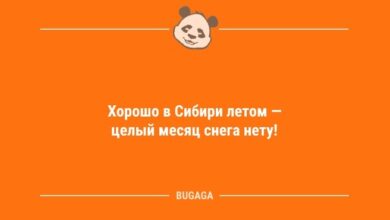 Минута отдыха Прикольные анекдоты: «Хорошо в Сибири летом…» (10 фото) Анекдоты 