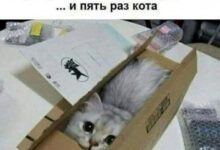 Минута отдыха Мем №1477712 Анекдоты 