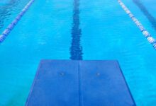 Минута отдыха Выборы на пост главы объединенной федерации водных видов спорта пройдут 31 октября Спорт 