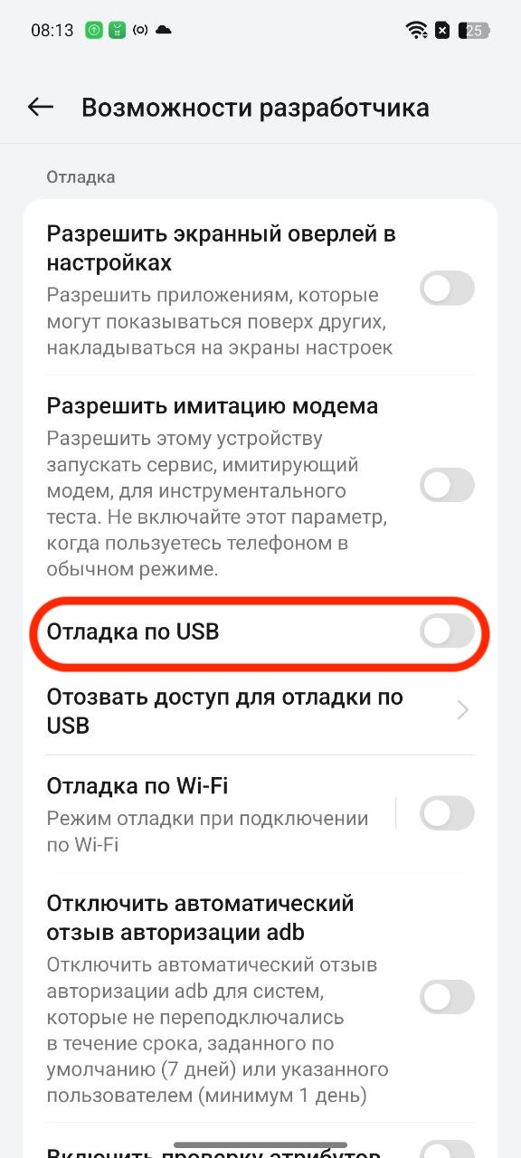 Как включить режим разработчика на Android и зачем это нужно