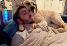 Минута отдыха Снимки весёлых животных, готовых усесться на голову Животные 