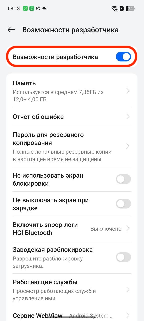 Как включить режим разработчика на Android и зачем это нужно