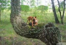 Минута отдыха Мем №1485205 Анекдоты 