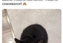 Минута отдыха Мем №1484368 Анекдоты 