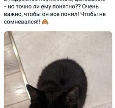 Минута отдыха Мем №1484368 Анекдоты 