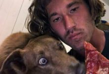 Минута отдыха Забавные случаи, когда пушистые воришки были пойманы на краже еды Животные 