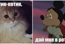 Минута отдыха Мем №1489760 Анекдоты 