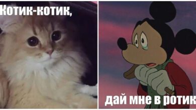 Минута отдыха Мем №1489760 Анекдоты 