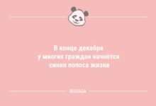Минута отдыха Анекдоты для хорошего настроения: «В конце декабря…» (11 шт) Анекдоты 
