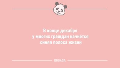 Минута отдыха Анекдоты для хорошего настроения: «В конце декабря…» (11 шт) Анекдоты 