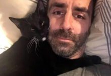 Минута отдыха Очаровательные усатые питомцы и их человеческие папы Животные 