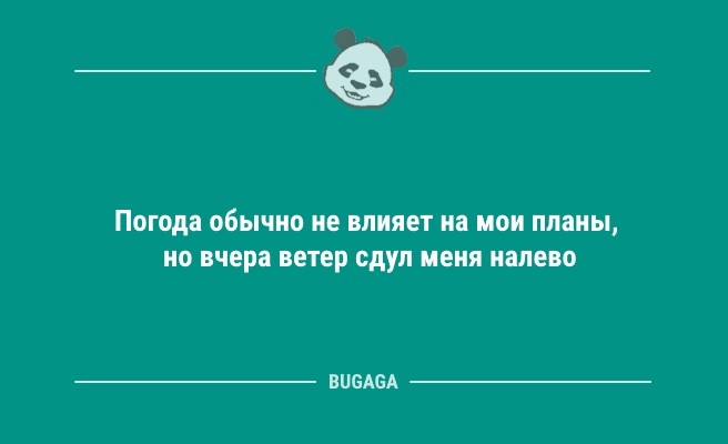 Анекдоты для позитива: «Все мужики на животе кубики себе накачивают…» (9 шт)