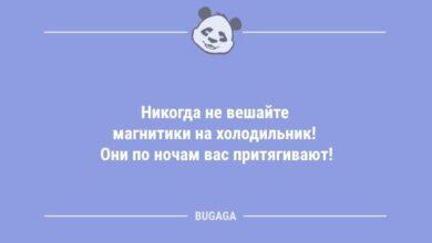 Минута отдыха Анекдоты в начале недели: «Никогда не вешайте магнитики на холодильник!» (10 шт) Анекдоты 