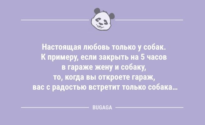 Минута отдыха Смешные анекдоты: «В новогодние праздники случаются разные волшебные вещи…» (9 шт) Анекдоты  