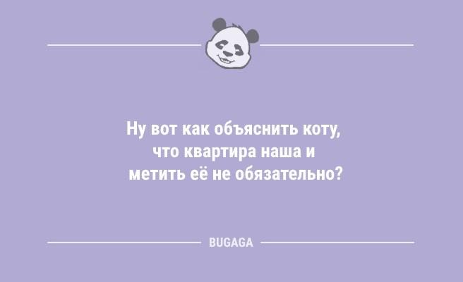 Минута отдыха Смешные анекдоты: «В новогодние праздники случаются разные волшебные вещи…» (9 шт) Анекдоты  