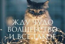 Минута отдыха Мем №1495342 Анекдоты 