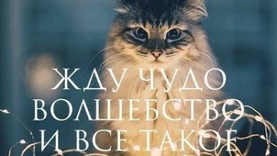 Минута отдыха Мем №1495342 Анекдоты 