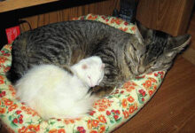 Минута отдыха Мем №1502978 Анекдоты 