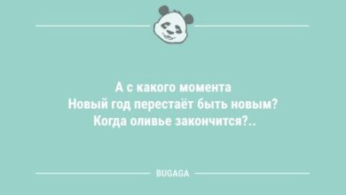 Минута отдыха Анекдоты для настроения: «А с какого момента Новый год перестаёт быть новым?» (9 шт) Анекдоты 