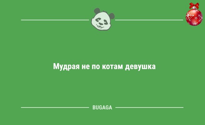 Минута отдыха Новогодние анекдоты: «Наряди коту свою ёлку…» (11 шт) Анекдоты  