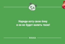 Минута отдыха Новогодние анекдоты: «Наряди коту свою ёлку…» (11 шт) Анекдоты 
