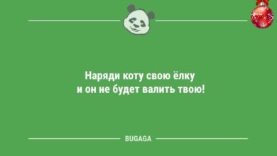 Минута отдыха Новогодние анекдоты: «Наряди коту свою ёлку…» (11 шт) Анекдоты 