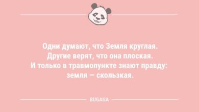 Минута отдыха Анекдоты в середине недели: «Одни думают, что Земля круглая…» (10 шт) Анекдоты 