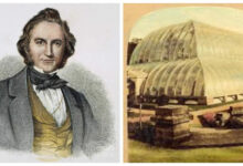 Минута отдыха Большая оранжерея Чатсуорта Интересное 