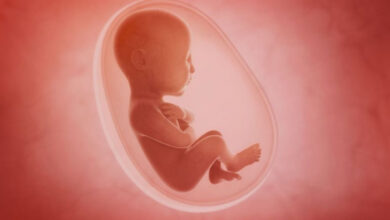 Минута отдыха Что такое литопедион? И может ли младенец остаться в животе матери? Интересное  Минута отдыха Что такое литопедион? И может ли младенец остаться в животе матери? Интересное