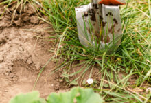 Минута отдыха Когда жизнь интереснее вымысла Интересное 