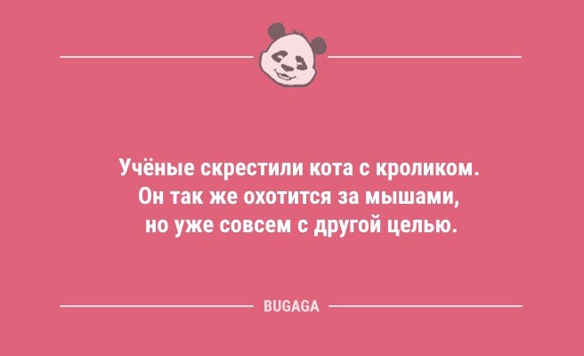 Минута отдыха Короткие анекдоты в середине недели: «Как известно, самая благоприятная среда для человека…» (10 шт) Анекдоты  