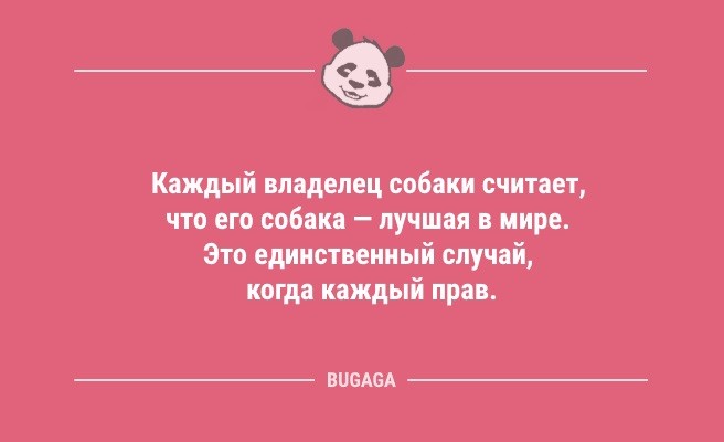 Минута отдыха Короткие анекдоты в середине недели: «Как известно, самая благоприятная среда для человека…» (10 шт) Анекдоты  