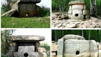 Минута отдыха   Интересное  Минута отдыха   Интересное