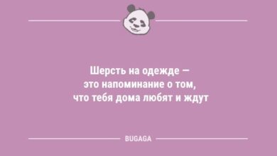 Минута отдыха Анекдоты в конце недели: «Шерсть на одежде — это…» (10 шт) Анекдоты 