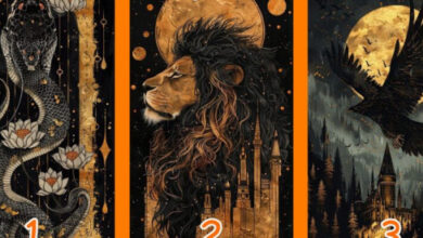 Минута отдыха Таро Расклад на Ближайшее Будущее: Откровения Магии для Каждого Интересное  Минута отдыха Таро Расклад на Ближайшее Будущее: Откровения Магии для Каждого Интересное