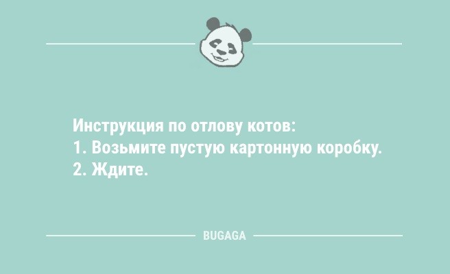 Минута отдыха Анекдоты для пятничного настроения: «Женщины — удивительные существа…» (9 шт) Анекдоты  