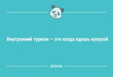 Минута отдыха Анекдоты для настроения: «Внутренний туризм — это…» (8 шт) Анекдоты 