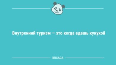 Минута отдыха Анекдоты для настроения: «Внутренний туризм — это…» (8 шт) Анекдоты 