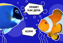 Минута отдыха Как рыбы общаются между собой? Интересное 