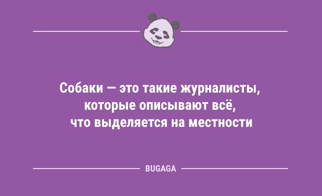 Минута отдыха Анекдоты дня: «У меня самый романтичный мужчина…» (8 шт) Анекдоты  