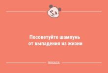 Минута отдыха Анекдоты для настроения: «Посоветуйте шампунь от выпадения…» (10 шт) Анекдоты 