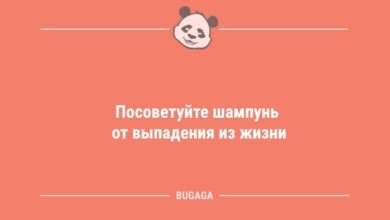 Минута отдыха Анекдоты для настроения: «Посоветуйте шампунь от выпадения…» (10 шт) Анекдоты  Минута отдыха Анекдоты для настроения: «Посоветуйте шампунь от выпадения…» (10 шт) Анекдоты