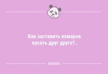 Минута отдыха Анекдоты для всех: «Как заставить комаров...» (8 шт) Анекдоты 