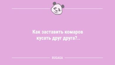 Минута отдыха Анекдоты для всех: «Как заставить комаров...» (8 шт) Анекдоты  Минута отдыха Анекдоты для всех: «Как заставить комаров...» (8 шт) Анекдоты