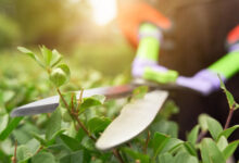 Минута отдыха Бабуля с задатками трактора Интересное 