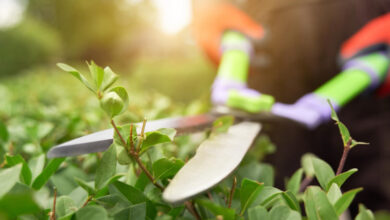 Минута отдыха Бабуля с задатками трактора Интересное 